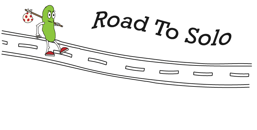 Project 0 - RoadToSolo.com